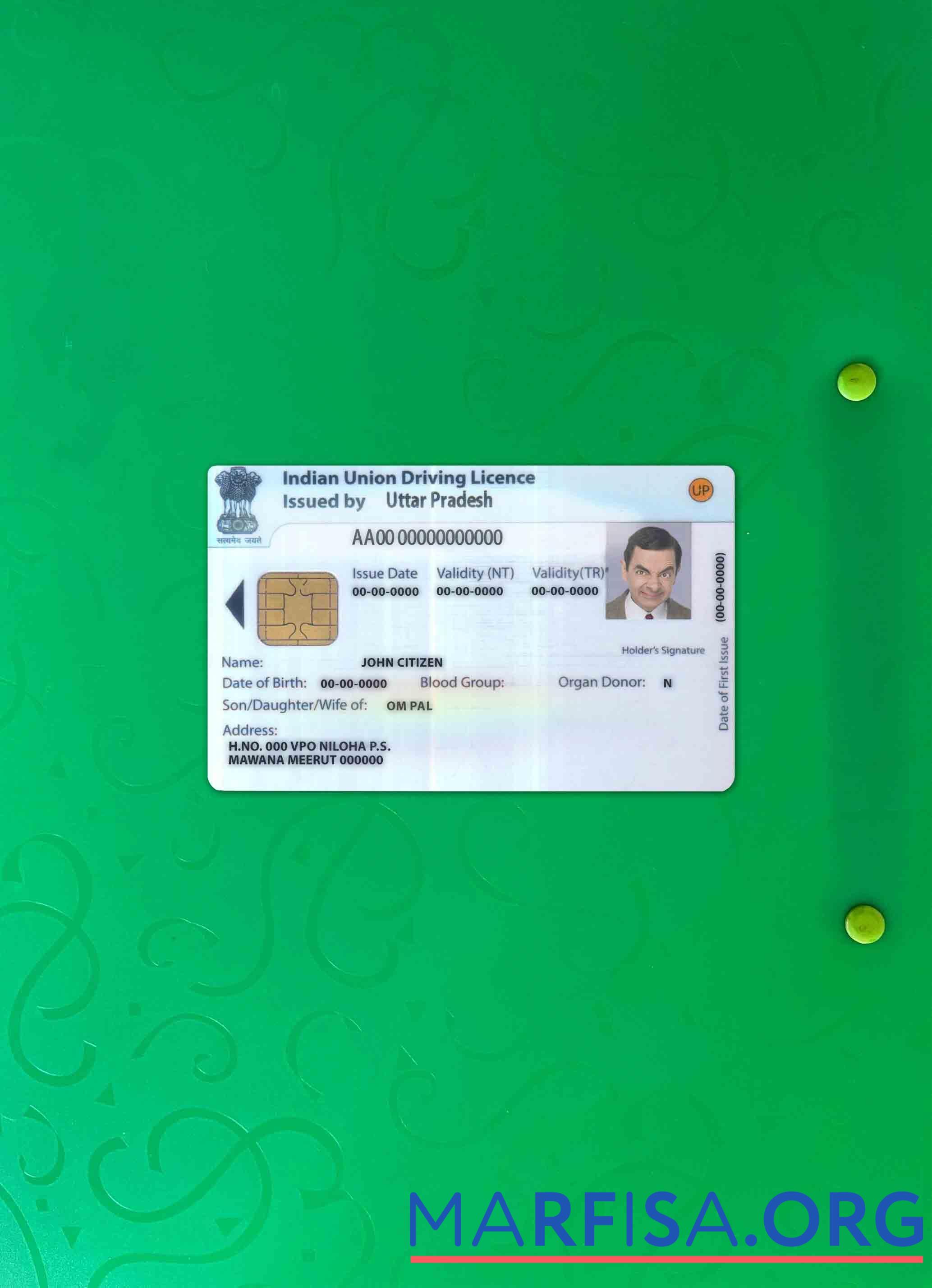 Blank Indian Union driving license photolook sample